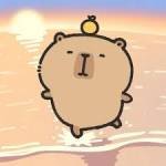 zjdfjx zjdfjx profile picture